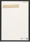 Pyxilla sp. (de-Toni-Nr.: Genus 164) Zeichnungen Sammlung Grunow (NHMW-BOT-W0377078)